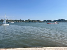 IMG 6337