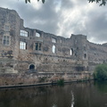 IMG 7380