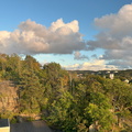 IMG 7483