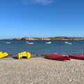 IMG 7505