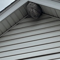 IMG 7850