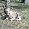 IMG 8501