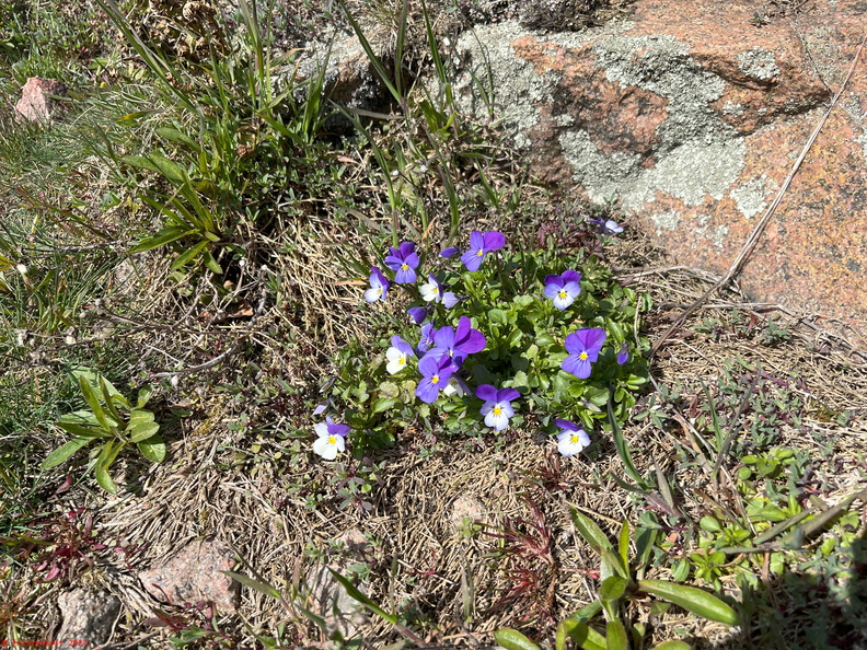 IMG_8544.jpg