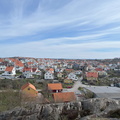 IMG 8556