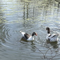 IMG 8560