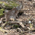 IMG 8563