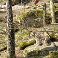 IMG 8565