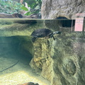 IMG 8572
