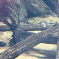 IMG 8577