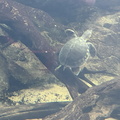IMG 8578
