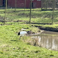 IMG 8581