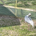 IMG 8584
