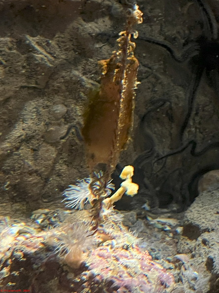 IMG_8650.jpg
