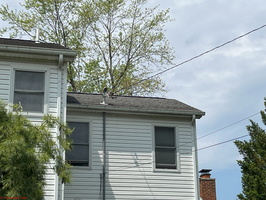 IMG 8730