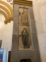 IMG 9024