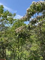 IMG 9126