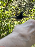IMG 9130