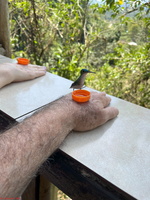IMG 9156