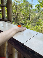 IMG 9157