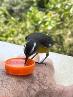 IMG 9159