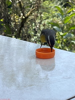 IMG 9173