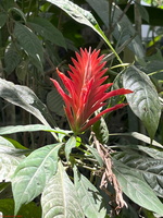 IMG 9178