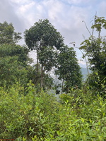 IMG 9243