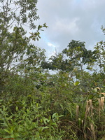 IMG 9244