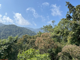 IMG 9272
