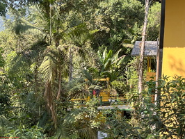 IMG 9273