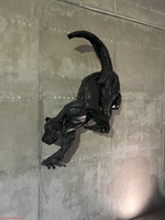 IMG 9410