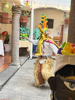 IMG 9751