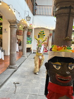 IMG 9755