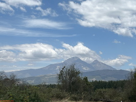 IMG 9804