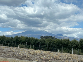 IMG 9806
