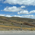 IMG 9812