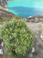 IMG 9841