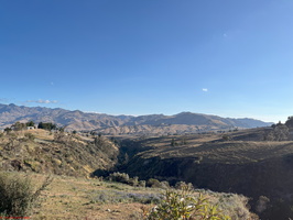 IMG 9900