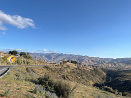 IMG 9901