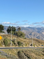 IMG 9902