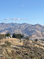 IMG 9905