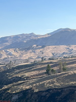 IMG 9908
