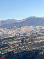 IMG 9909