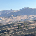 IMG 9909