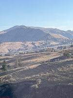 IMG 9910