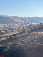 IMG 9911
