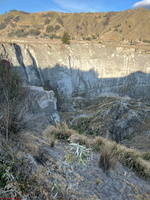 IMG 9922