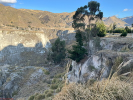IMG 9924