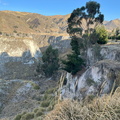 IMG 9924