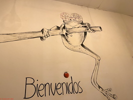 IMG 0039